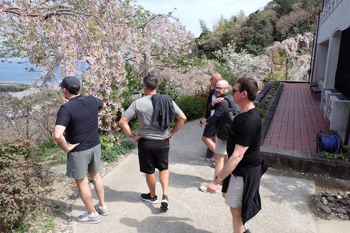 Naruto Coastal Cycling Tour in Tokushima