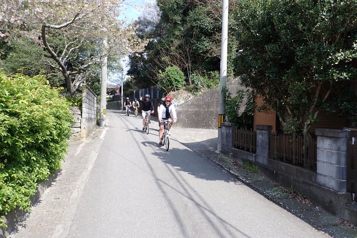 Naruto Coastal Cycling Tour in Tokushima