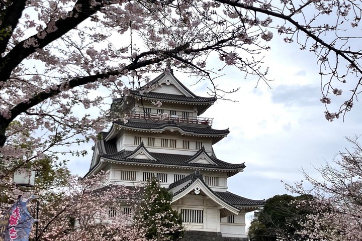 Chiba: Kimono & Tea Ceremony at a Historic Castle Garden