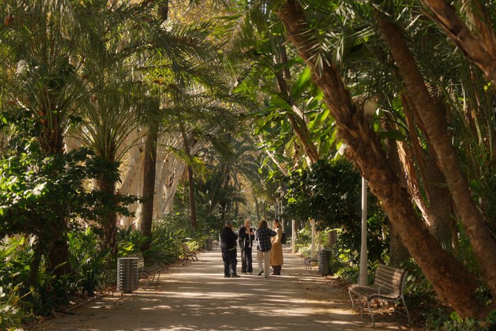 The Best of Malaga: Guided Tour of Cathedral, Alcazaba & Theatre