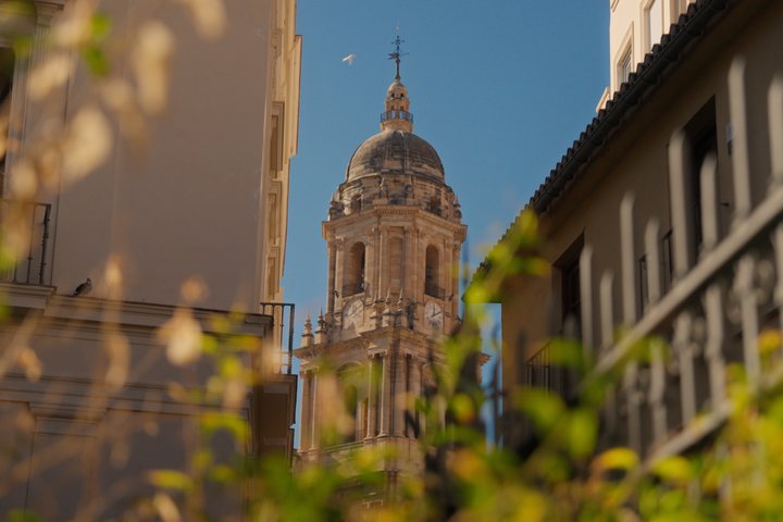 The Best of Malaga: Guided Tour of Cathedral, Alcazaba & Theatre