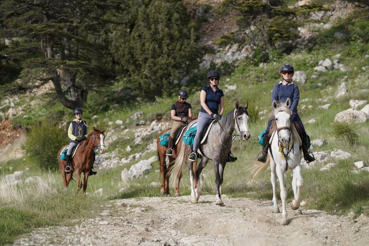 1 or 2 Hours PRIVATE Horse Riding in the forest in Kemer Antalya