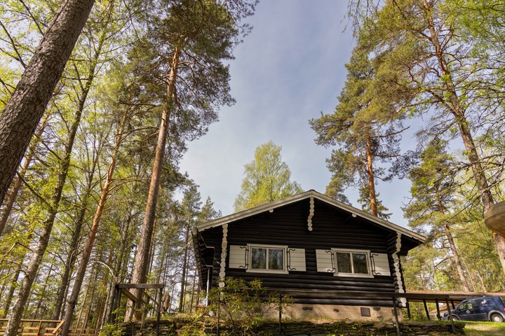 Northern Elegance: Private Reindeer Safari & Fireside Picnic*****