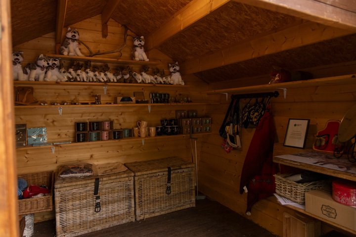 Northern Elegance: Private Reindeer Safari & Fireside Picnic*****