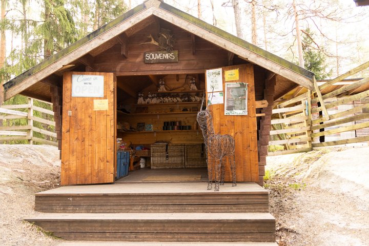 Northern Elegance: Private Reindeer Safari & Fireside Picnic*****
