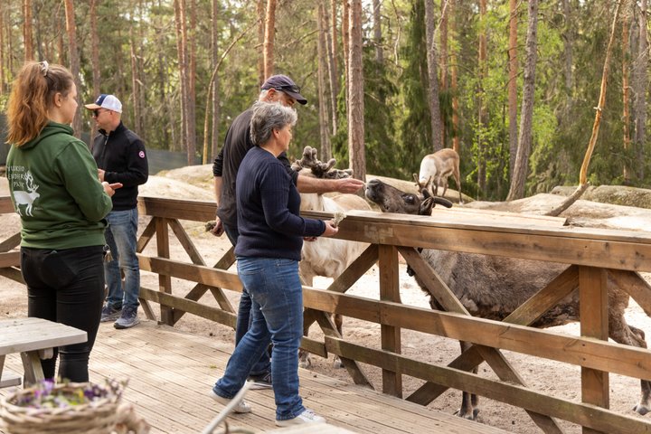 Northern Elegance: Private Reindeer Safari & Fireside Picnic*****
