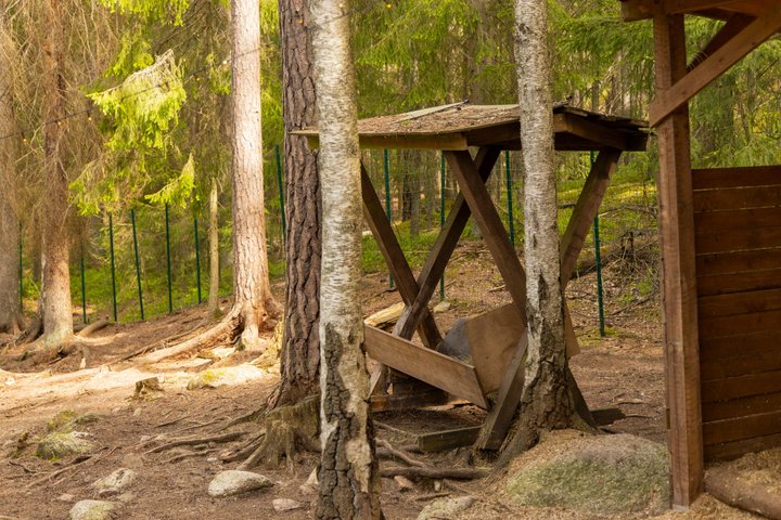 Northern Elegance: Private Reindeer Safari & Fireside Picnic*****