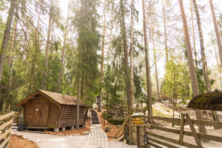 Northern Elegance: Private Reindeer Safari & Fireside Picnic*****