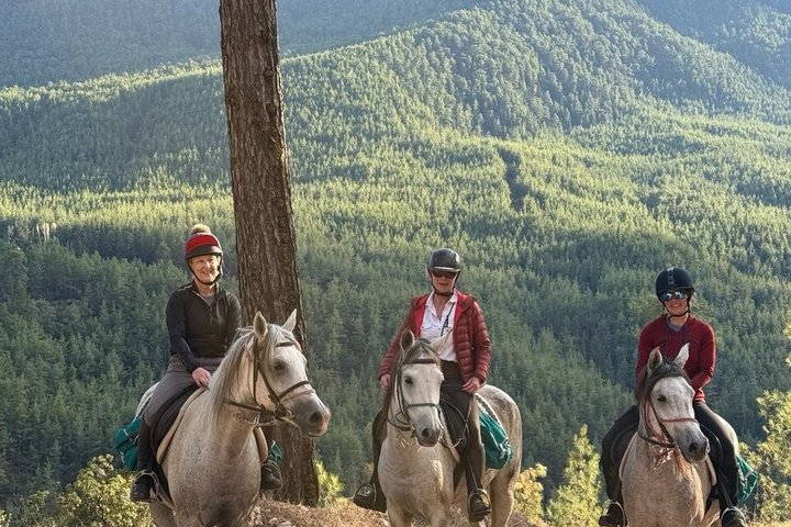 1 or 2 Hours PRIVATE Horse Riding in the forest in Kemer Antalya