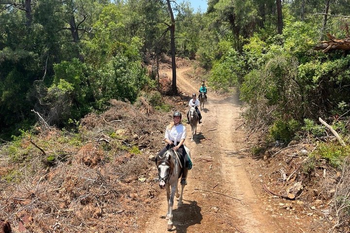 1 or 2 Hours PRIVATE Horse Riding in the forest in Kemer Antalya