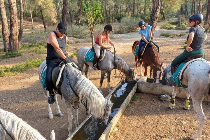 1 or 2 Hours PRIVATE Horse Riding in the forest in Kemer Antalya