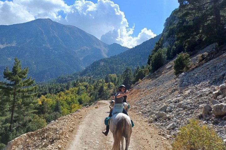 1 or 2 Hours PRIVATE Horse Riding in the forest in Kemer Antalya