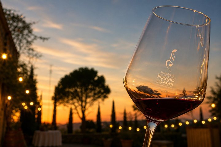 Castles & Chianti Wine Experience– Small Group from San Gimignano