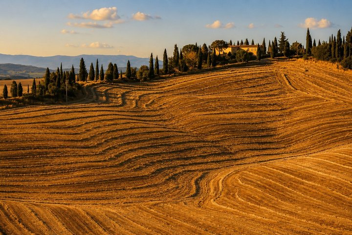 Castles & Chianti Wine Experience– Small Group from San Gimignano