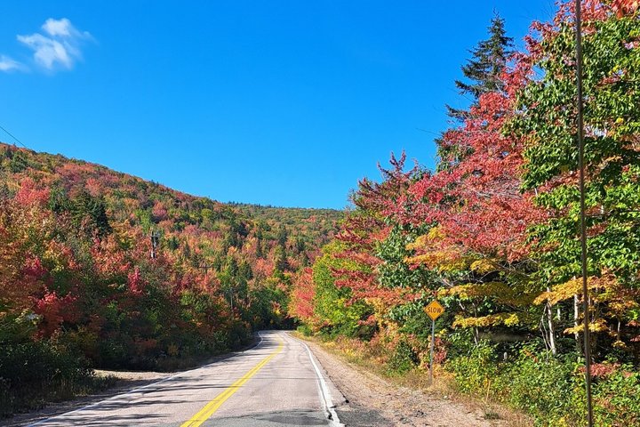 Cabot Trail: Green cove and Coast Excursion from Port of Sydney