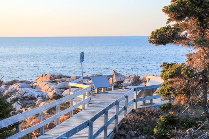 Cabot Trail: Green cove and Coast Excursion from Port of Sydney