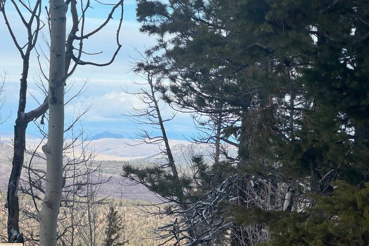 RZR PRO S4 ATV Experience in Duck Creek Village UT