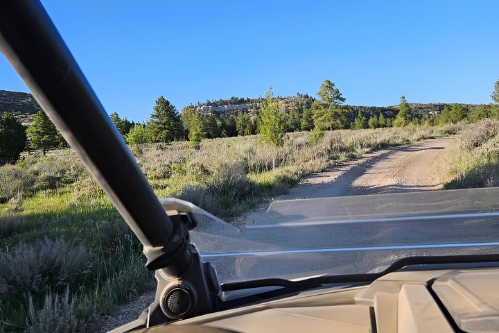 RZR PRO S4 ATV Experience in Duck Creek Village UT