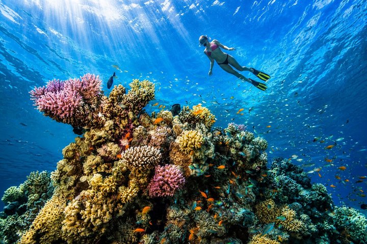Hurghada: VIP Seafood Yacht to 3 Islands, Dolphins & Snorkeling