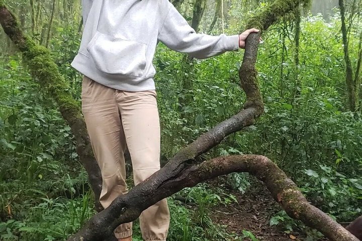 Kilimanjaro one day hike experience by KILITA SAFARIS