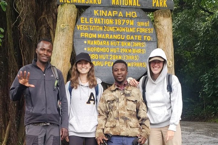 Kilimanjaro one day hike experience by KILITA SAFARIS