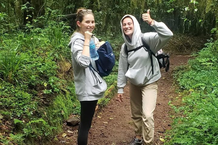 Kilimanjaro one day hike experience by KILITA SAFARIS