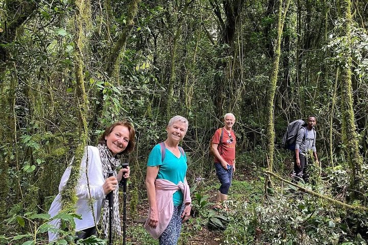 Kilimanjaro one day hike experience by KILITA SAFARIS