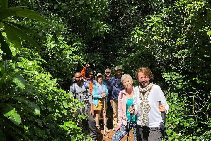 Kilimanjaro one day hike experience by KILITA SAFARIS
