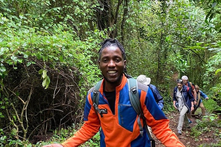 Kilimanjaro one day hike experience by KILITA SAFARIS