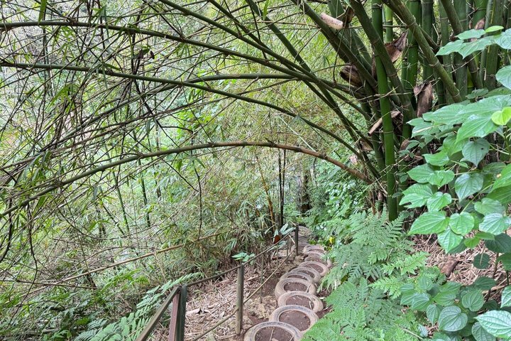 Kilimanjaro one day hike experience by KILITA SAFARIS