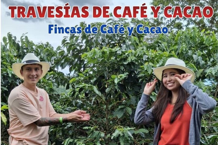 Private Tour Charm of Cocora Valley Salento and Philandia