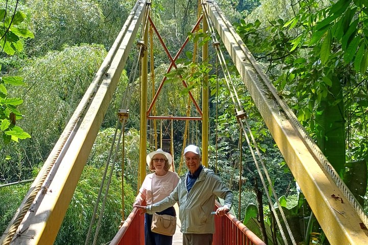 Private Tour Charm of Cocora Valley Salento and Philandia