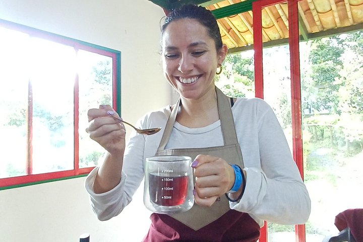Private Tour Charm of Cocora Valley Salento and Philandia