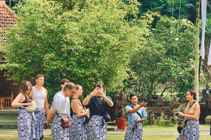 Ubud: Monkey Forest, Rice Terrace, Elephant Cave & Waterfall Tour