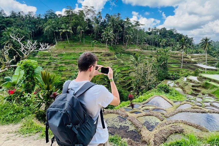 Ubud: Monkey Forest, Rice Terrace, Elephant Cave & Waterfall Tour
