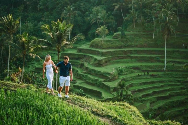 Ubud: Monkey Forest, Rice Terrace, Elephant Cave & Waterfall Tour