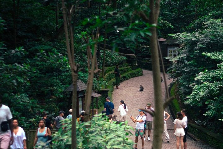 Ubud: Monkey Forest, Rice Terrace, Elephant Cave & Waterfall Tour