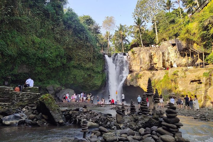 Ubud: Monkey Forest, Rice Terrace, Elephant Cave & Waterfall Tour