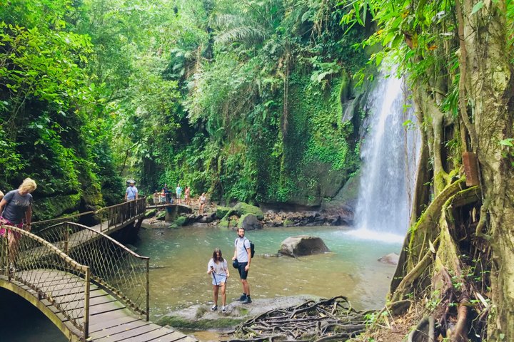 Ubud: Monkey Forest, Rice Terrace, Elephant Cave & Waterfall Tour