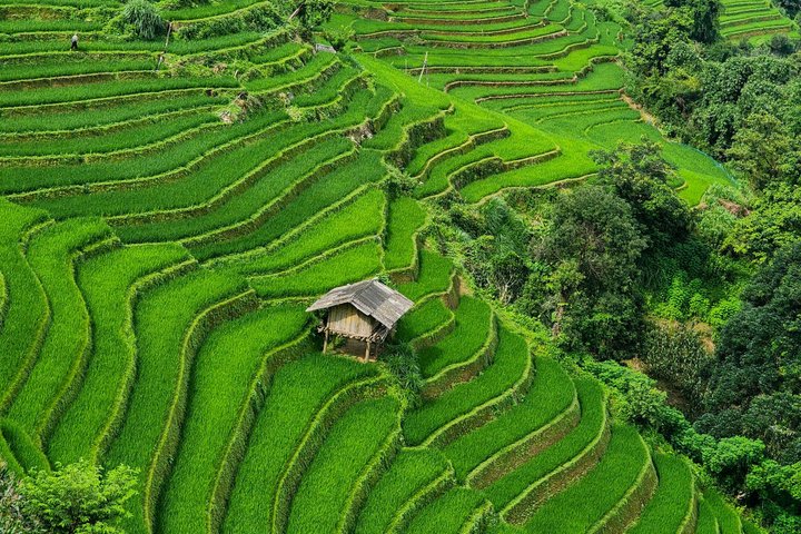 Mu Cang Chai Scenic Car Tour with Local Guide & Beeswax Painting