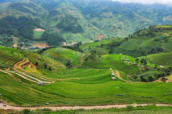 Mu Cang Chai Scenic Car Tour with Local Guide & Beeswax Painting