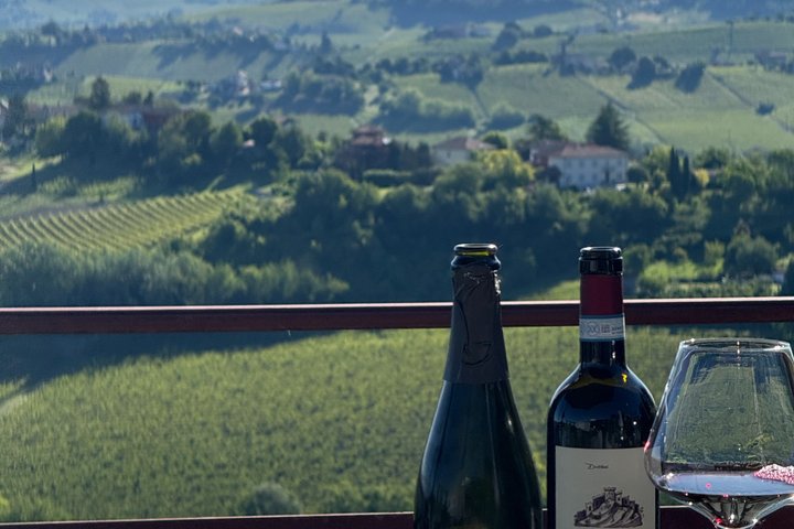 "Between Langhe and Monferrato" - Wine Tasting and Cellar Visit