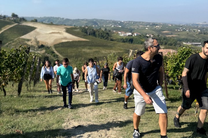 "Between Langhe and Monferrato" - Wine Tasting and Cellar Visit