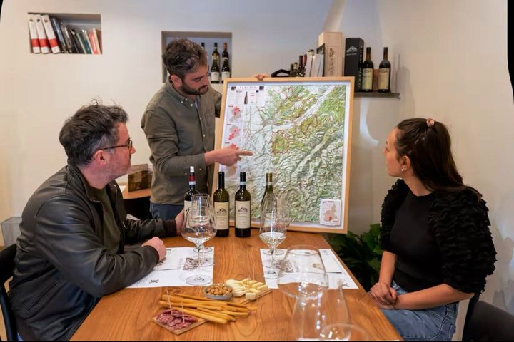 "Between Langhe and Monferrato" - Wine Tasting and Cellar Visit