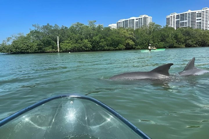 Clear Kayak and Glow Kayak Adventures