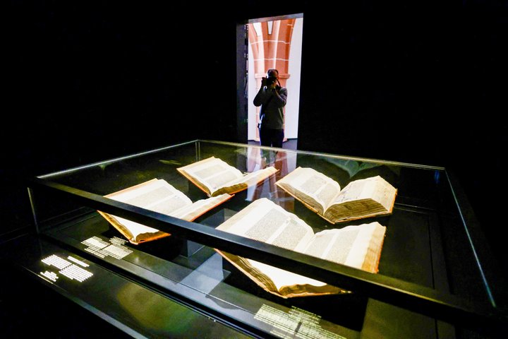 1 Hour Private Guided Tour: Gutenberg Museum Mainz
