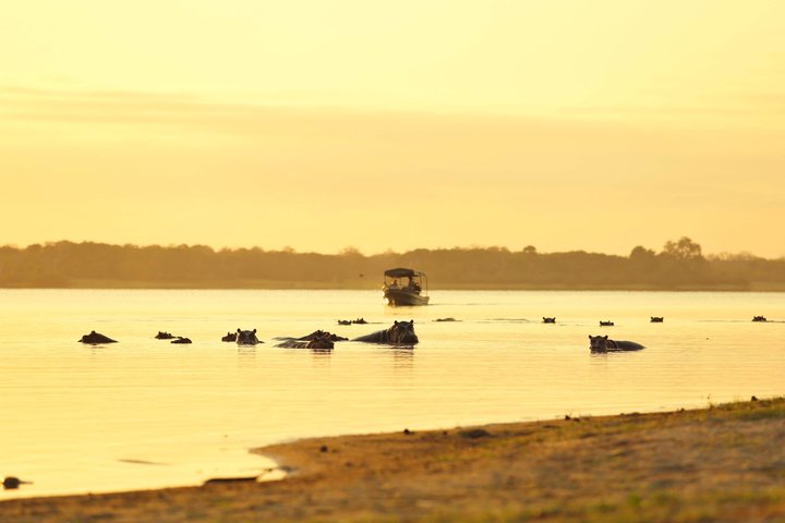 14-Day Coast to Savannah Southern Tanzania Safari