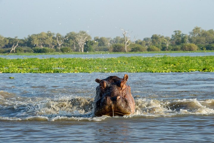 14-Day Coast to Savannah Southern Tanzania Safari