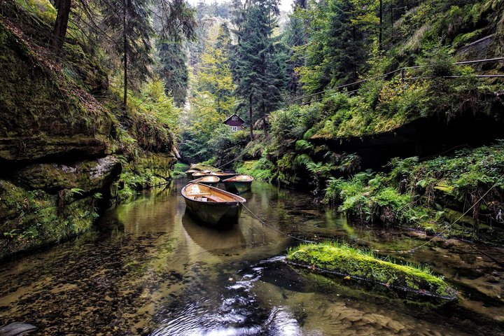 Best Reviews: Bohemian & Saxon Switzerland Day Trip From Prague