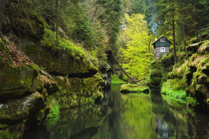 Best Reviews: Bohemian & Saxon Switzerland Day Trip From Prague